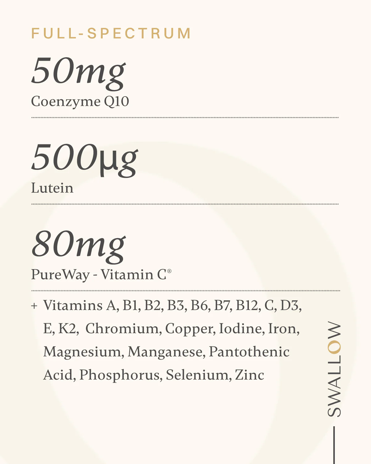 Daily Multivitamin with Active Nutrients - Image 4